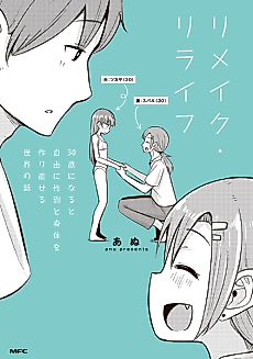 Cover image for Remake