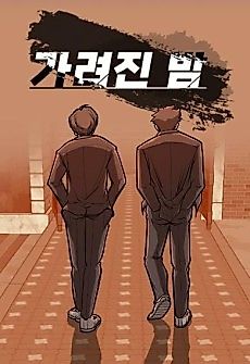 Cover image for Hidden Night
