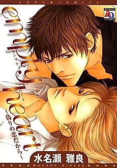 Cover image for Empty Heart: False Love