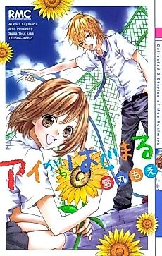 Cover image for Sugarless Kiss