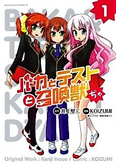 Cover image for The Idiot
