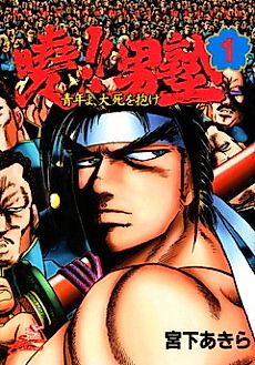 Cover image for Akatsuki!! Otokojuku: Seishen yo, Taishi no Dake
