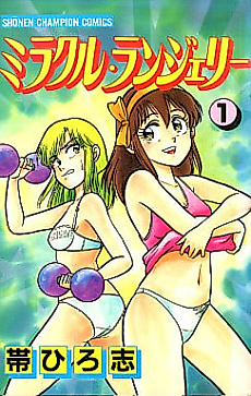 Cover image for Miracle Lingerie