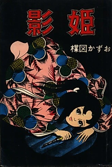 Cover image for Shadow Princess