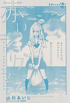 Cover image for Akai Sea Glass