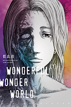Cover image for Wonderful Wonder World