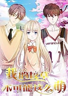 Cover image for The Three-point Line of Love