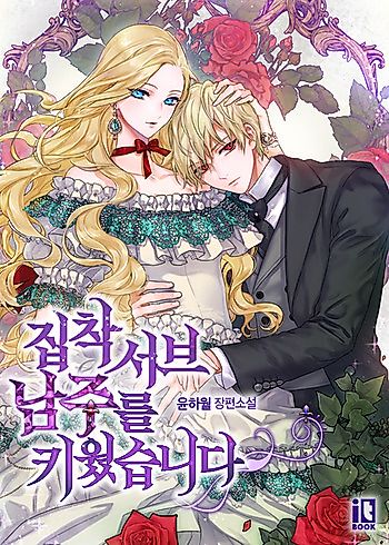 Cover image for the novel called 