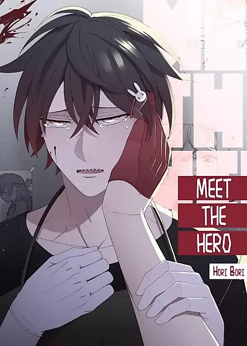 Cover image for the manga called Meet the Hero