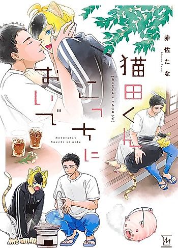 Cover image for the manga called Nekota-kun Kocchi ni Oide