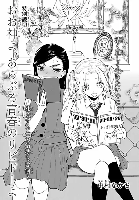 Cover image for the manga called Oo Kami yo, Araburu Seishun no Libido yo