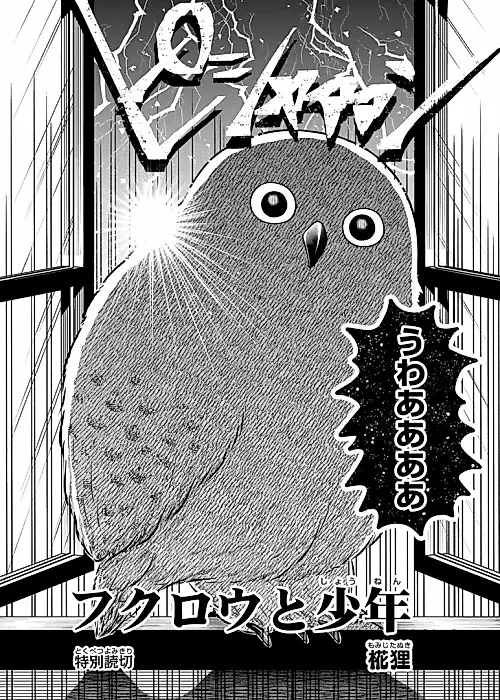 Cover image for the manga called Fukurou to Shounen