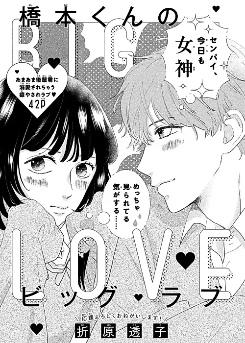 Cover image for the manga called Hashimoto-kun no Big Love