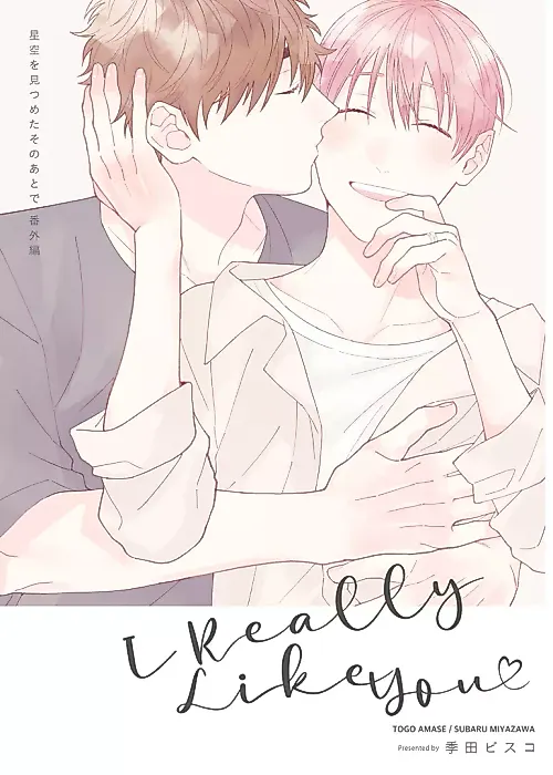 Cover image for the manga called I Really Like You: After We Gazed at the Starry Sky Bangai-hen