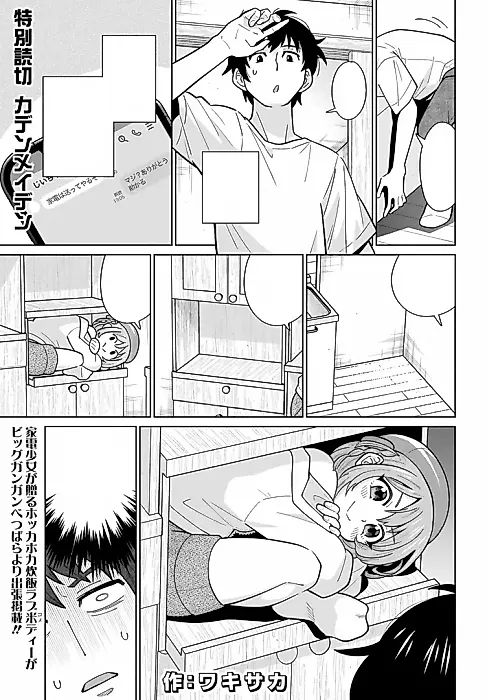 Cover image for the manga called Kaden Maiden