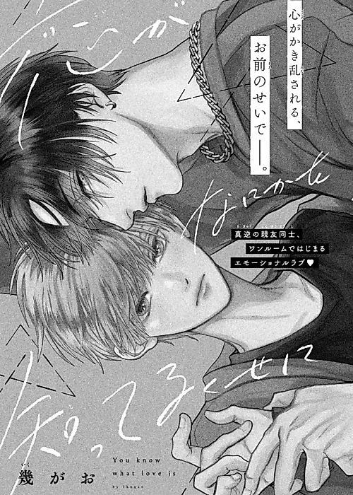 Cover image for the manga called 