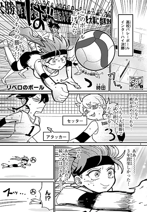 Cover image for the manga called Libero no Ball
