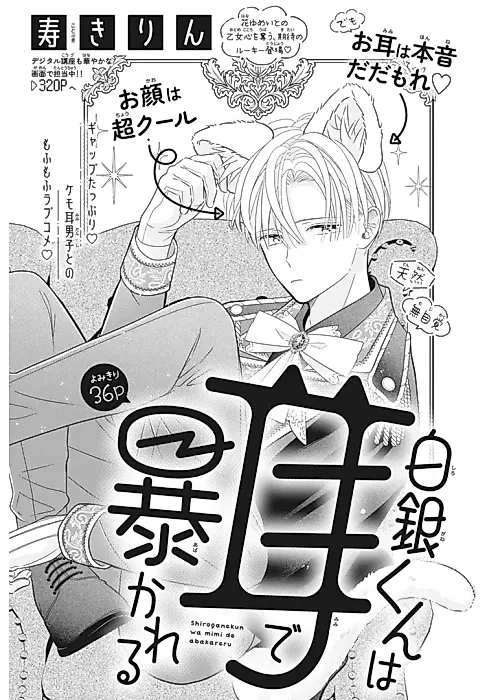 Cover image for the manga called Shirogane-kun wa Mimi de Abakareru
