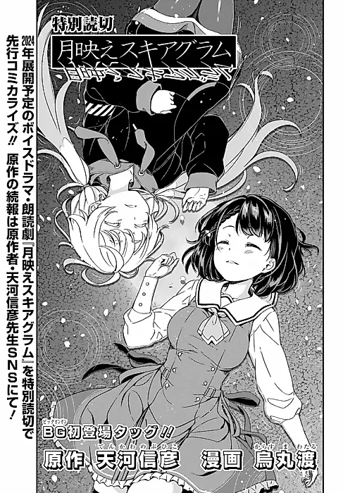 Cover image for the manga called Tsukibae Skiagram