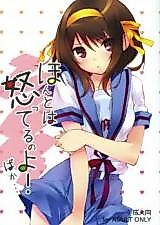 Cover image for the other called 