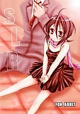 Cover image for the other called 