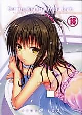 Cover image for the other called 