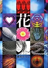 Cover image for the manga called 