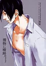 Cover image for the other called 