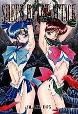 Cover image for the other called 