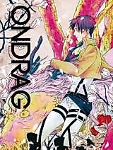 Cover image for the other called 