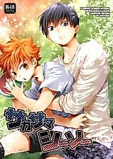 Cover image for the other called 