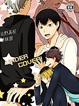 Cover image for the other called 