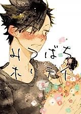 Cover image for the other called 