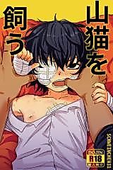 Cover image for the manga called Taming a Wildcat