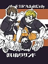 Cover image for the other called 
