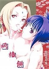 Cover image for the other called 