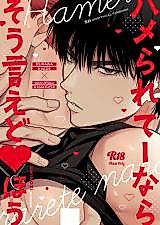 Cover image for the other called 