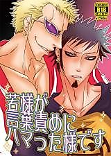 Cover image for the other called 