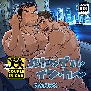 Cover image for the manga called Silly Couple in the Car