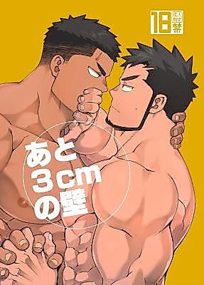 Cover image for the manga called An Inch-Thick Barrier