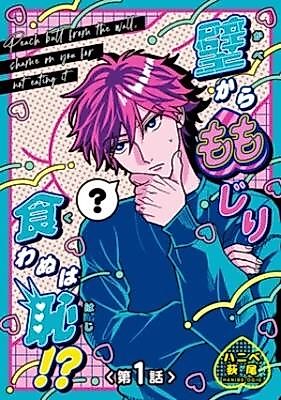 Cover image for the manga called 