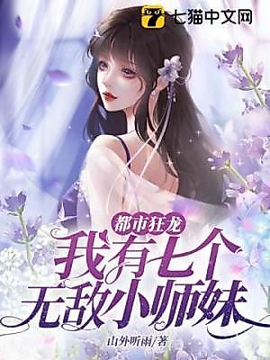 Cover image for the novel called 