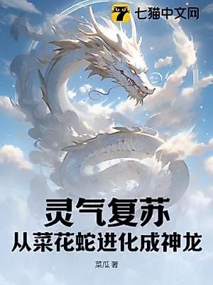 Cover image for the novel called 