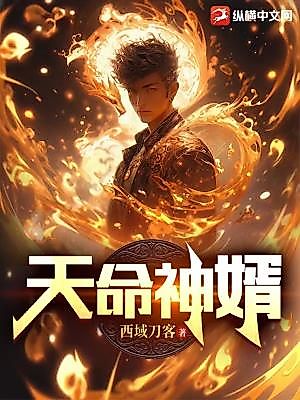 Cover image for the novel called 