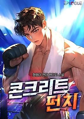 Cover image for the novel called 콘크리트 펀치
