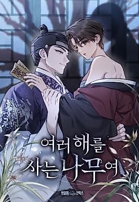 Cover image for the manhwa called O Tree of Many Years