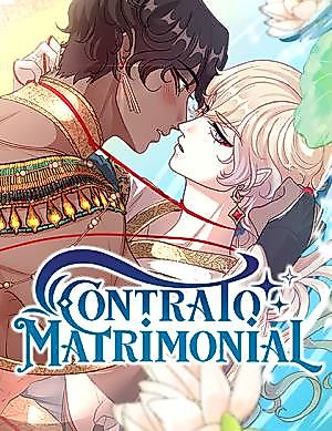 Cover image for the other called Marriage Contract