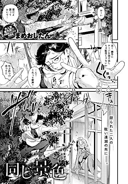 Cover image for the manga called The Same Sights