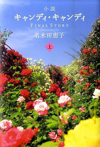 Cover image for the novel called 