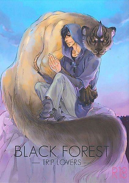 Cover image for the other called 